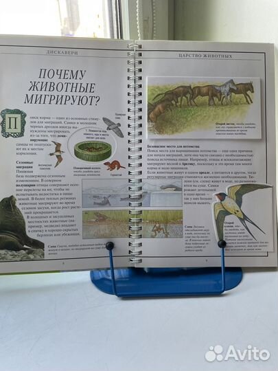 Царство животных. Дискавери