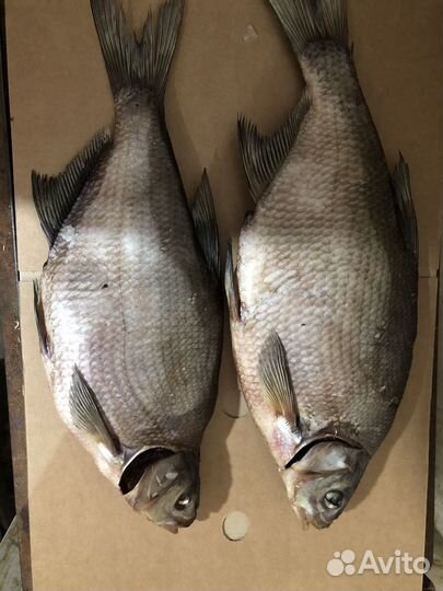 Вяленая рыба от производителя