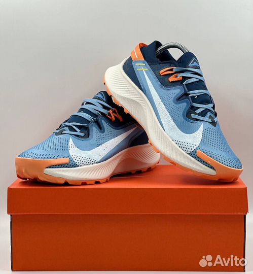 Кроссовки Nike Pegasus Trail 2 мужские j-1872