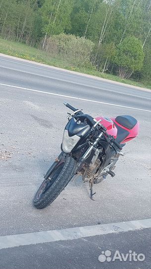 Irbis z1