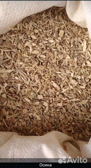 Осина кора