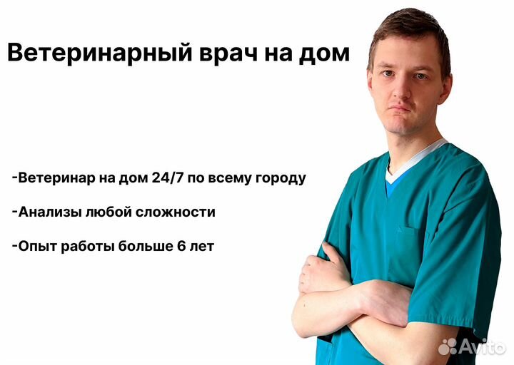 Ветеринарный врач на дом, круглосуточно