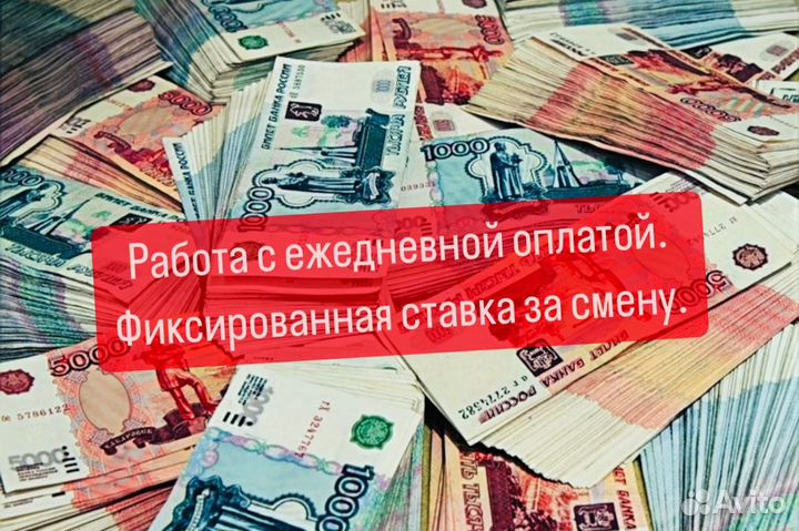 Упаковщицы с ежедневной оплатой