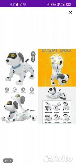 Собака на пульте управления