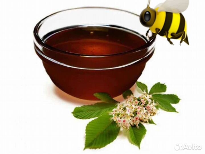 Мёд Алтайский дягель темный