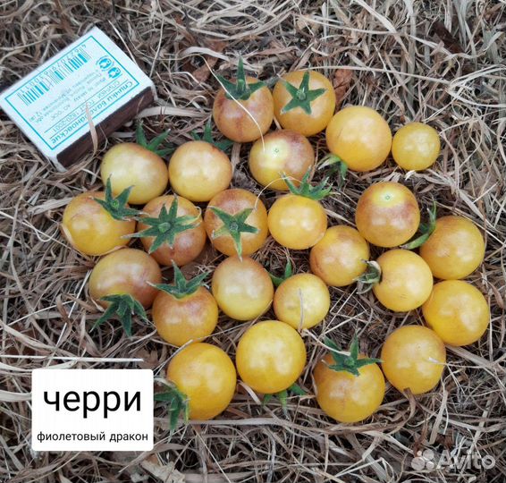 Семена томатов черри