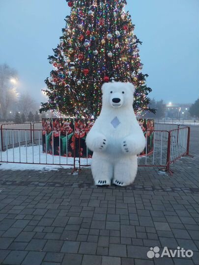 Белый мишка поздравление медведь аниматор