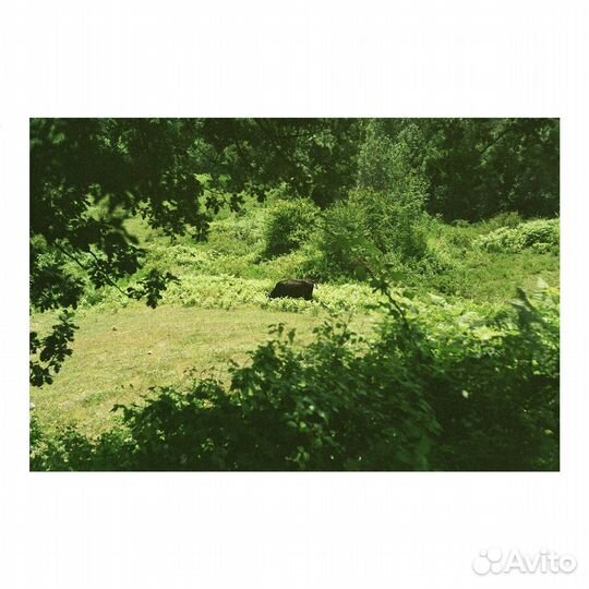 Плёночный фотоаппарат Praktica Zoom 600w