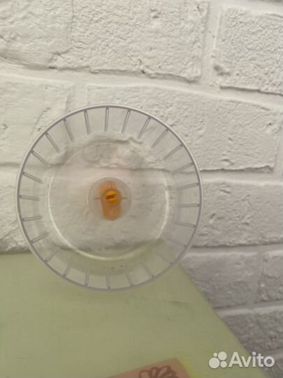 Колесо для хомяка на выбор