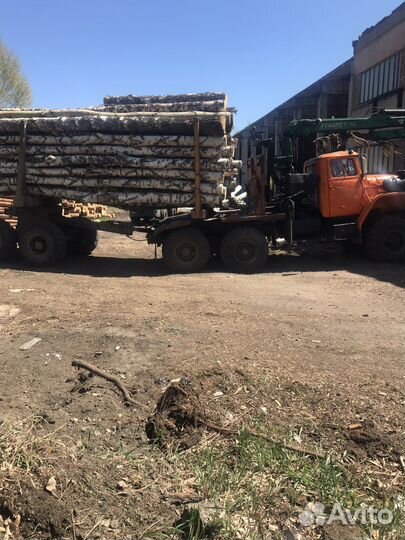 Лес кругляк береза