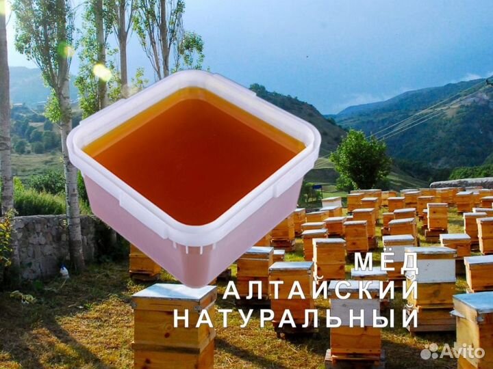 Мед натуральный с Алтая опт