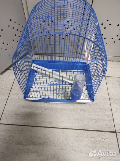 Клетка
