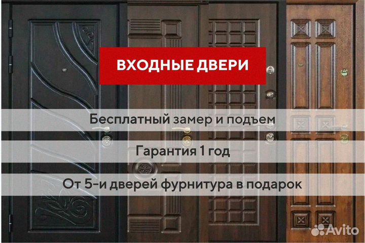 Дверь входная аргус