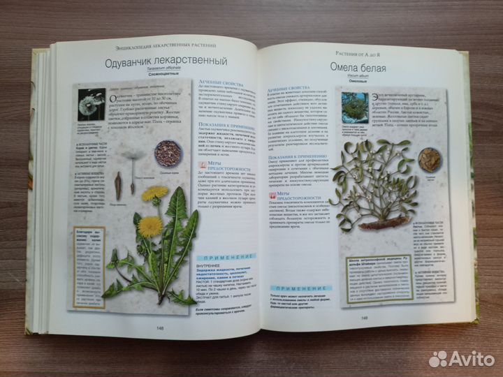 Энциклопедия лекарственных растений