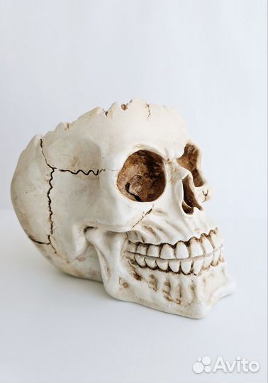 Кашпо череп