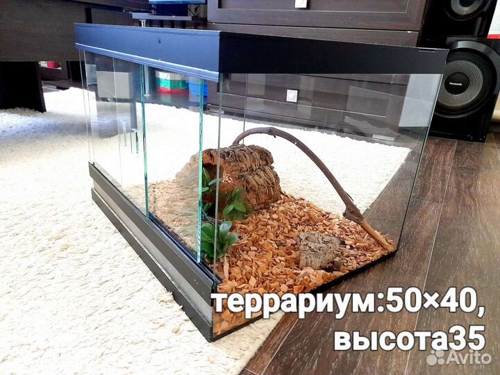 Террариум для рептилий