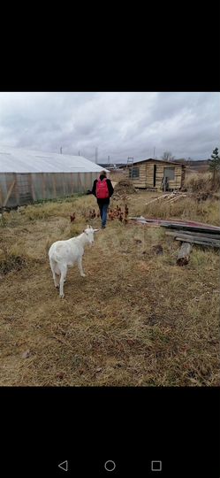 Дом 65 м² на участке 100 сот.