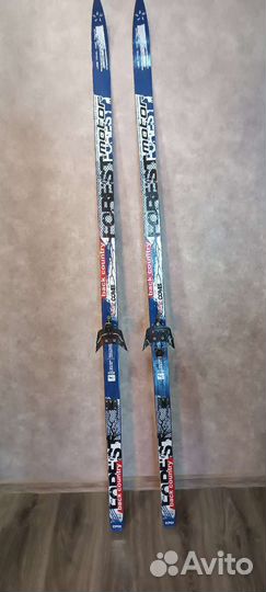 Беговые лыжи