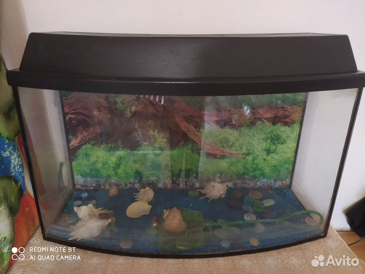 Аквариум