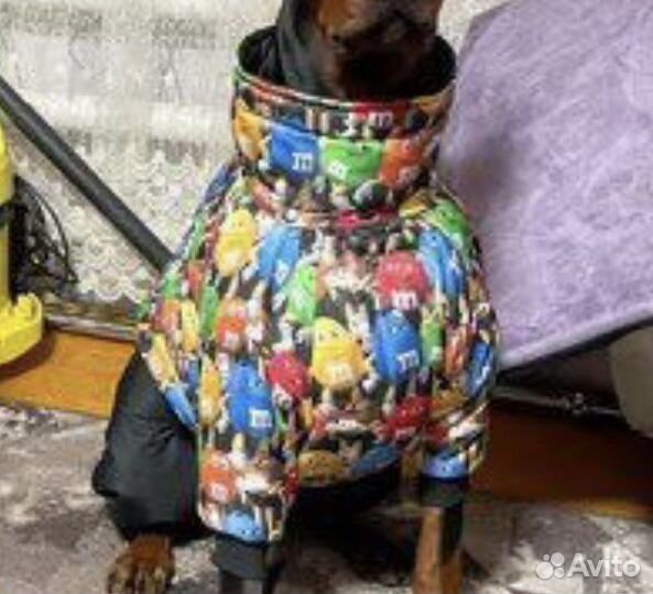 Зимний комбинезон