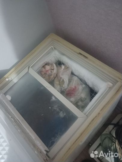 Морозильная камера бу