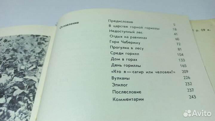 Шаллер Д. Год под знаком гориллы. 1968 г