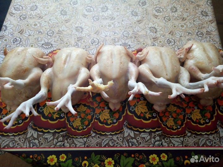 Мясо бройлера домашнее(тушка)