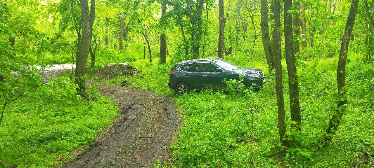 Nissan X-Trail: фото владельца
