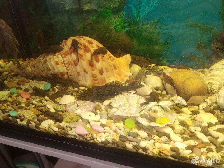 Аквариум с рыбками и подставкой