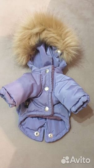 Комбинезон для собаки