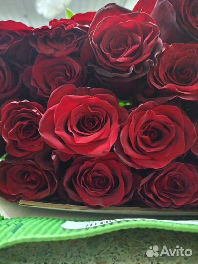 Розы в наличии и на заказ