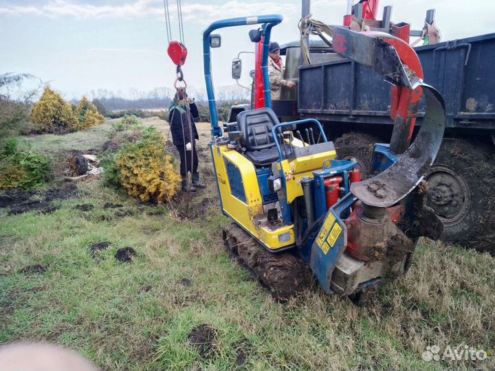Аренда. Пересадка деревьев пересадчик. выкопка рас