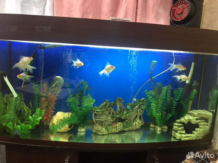 Продам аквариум