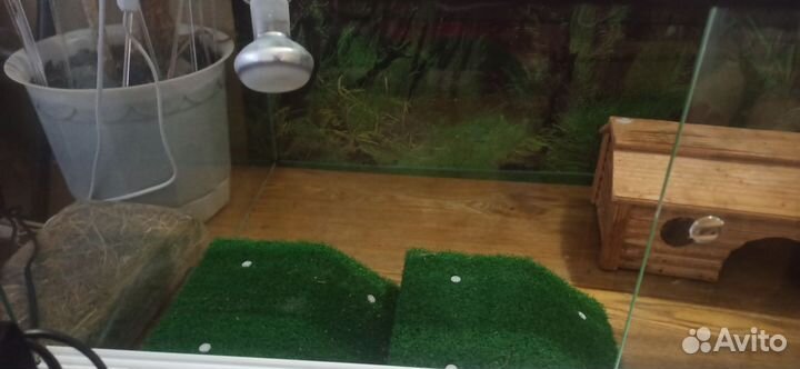 Два террариума большой 100*56*40