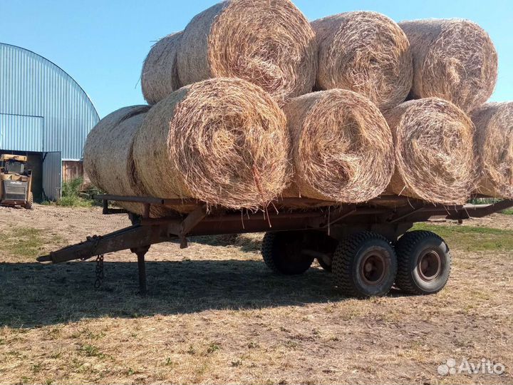 Сено в рулонах 2023