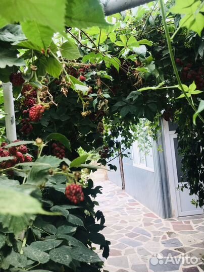 Ваза хрустальная