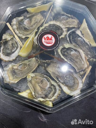 Сет из Устриц