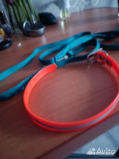 Поводок и ошейник