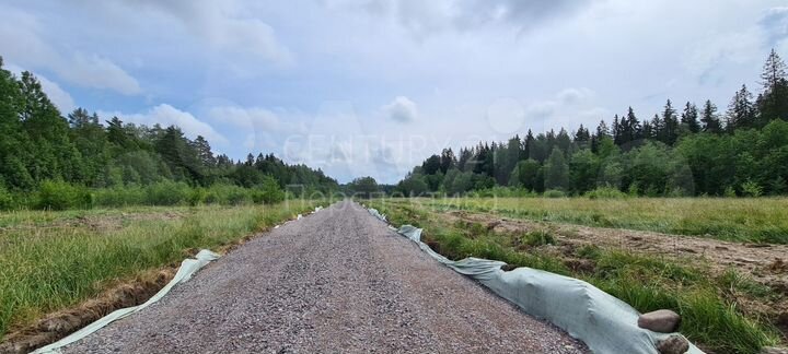 Участок 40 сот. (СНТ, ДНП)