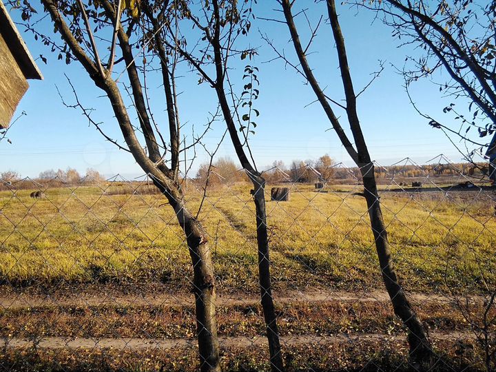 Дом 55,5 м² на участке 15 сот.