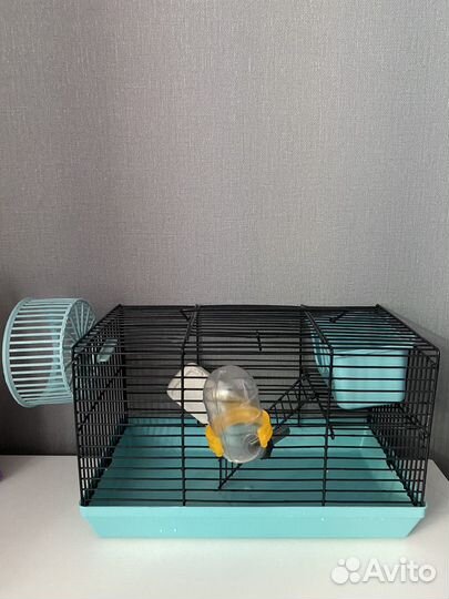 Клетка доя хомяка, корм, наполнитель