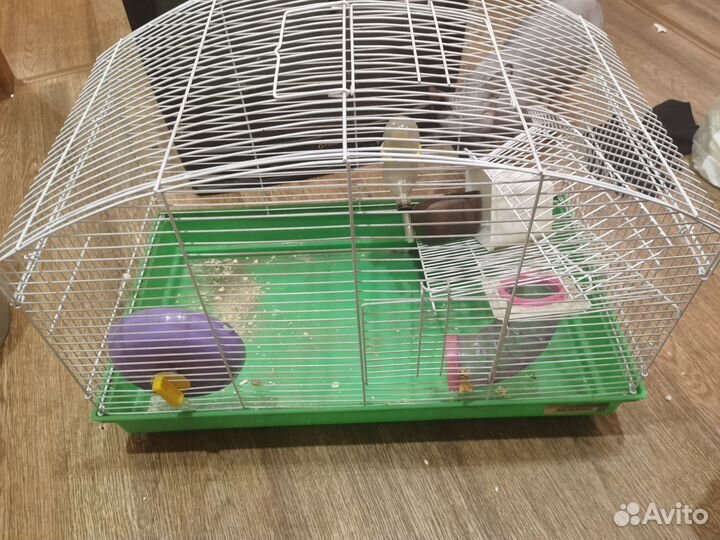 Клетка для грызунов большая