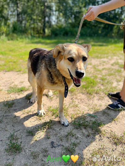 Марта ищет дом