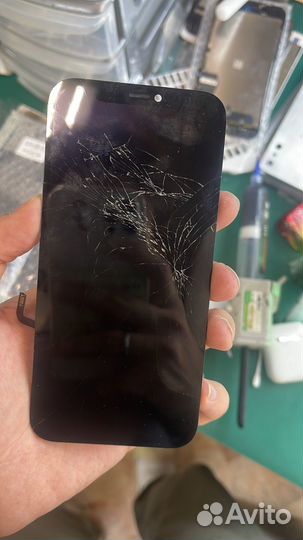 Замена стекла iPhone оптом