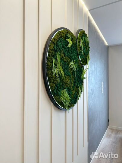 Стабилизированный мох панно