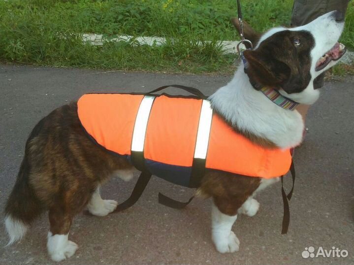 Спасательный жилет для собак