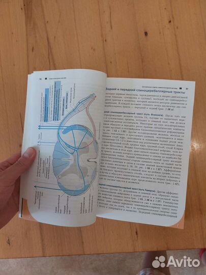 Учебник по неврологии