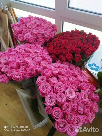 101 роза 70 см и 51 роза 70 см