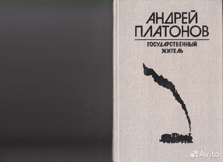 Е.Замятин,Цветаева,Хлебников,Платонов, Гумилёв
