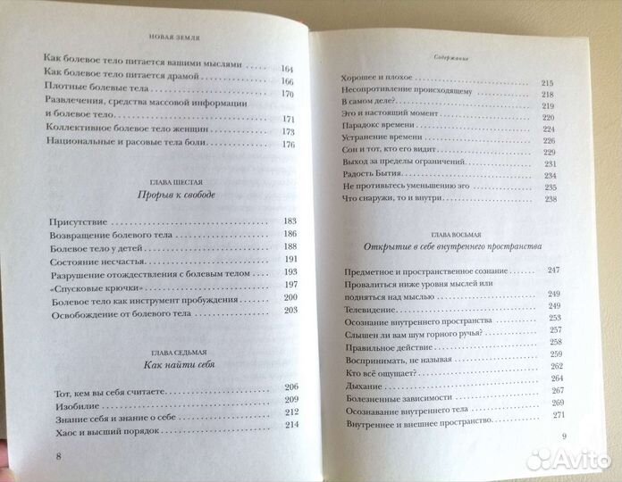 Экхарт Толле Новая земля